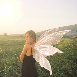 freetoedit fairywing fairy wings
