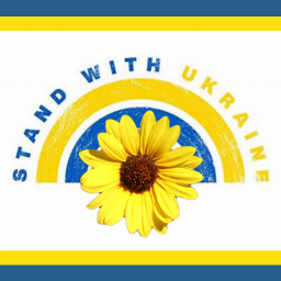 text word quote sunflowers ukraine