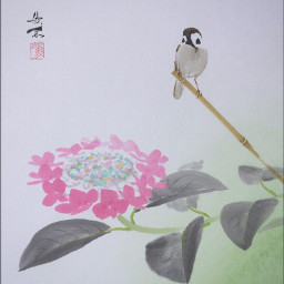 drawing art hydrangea sparrow japan アジサイ 雀 色紙 日本画 絵画 freetoedit