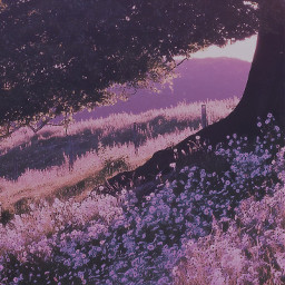 freetoedit purple dandelions field