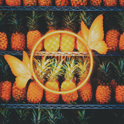 orangecolor food pineapple pineapples yellow yellowaesthetic aesthetic wallpaper yellowwallpaper background yellowbackground orangeaesthetic orange butterfly butterflys freetoedit