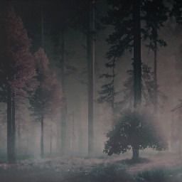 freetoedit gloomy lightless dark mist fog forest woods trees
