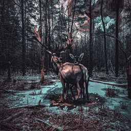 freetoedit remixit forest deer surreal