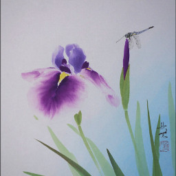 drawing art iris dragonfly japan 花菖蒲 トンボ シオカラトンボ 色紙 墨彩画 freetoedit