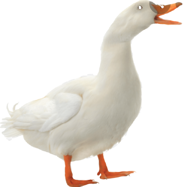 duckgoose duck quack remixit sticker by @thetruestfnafer
